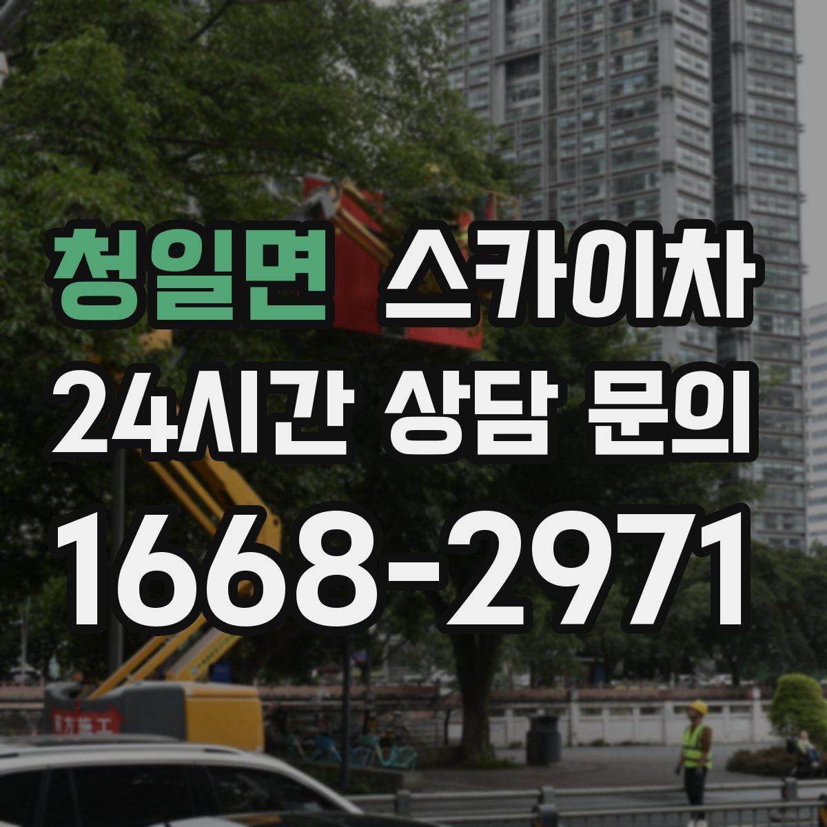 청일면 스카이차