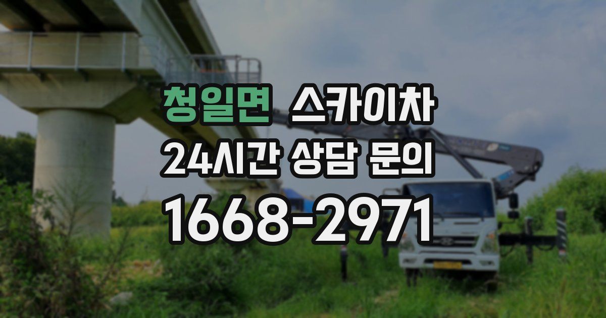 청일면 스카이차