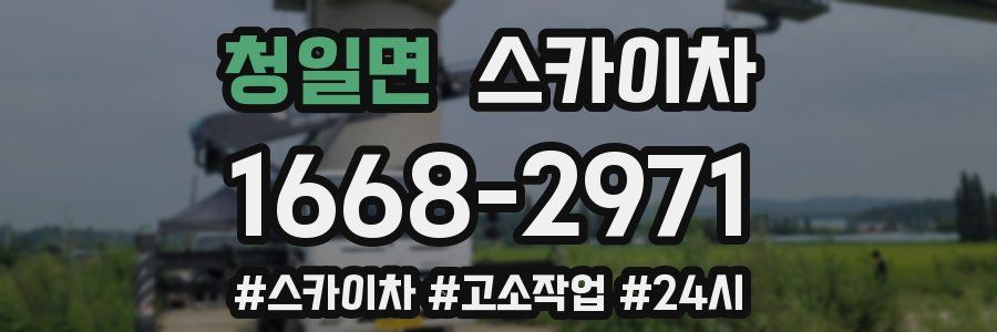 청일면 스카이차