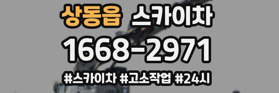 상동읍 스카이차