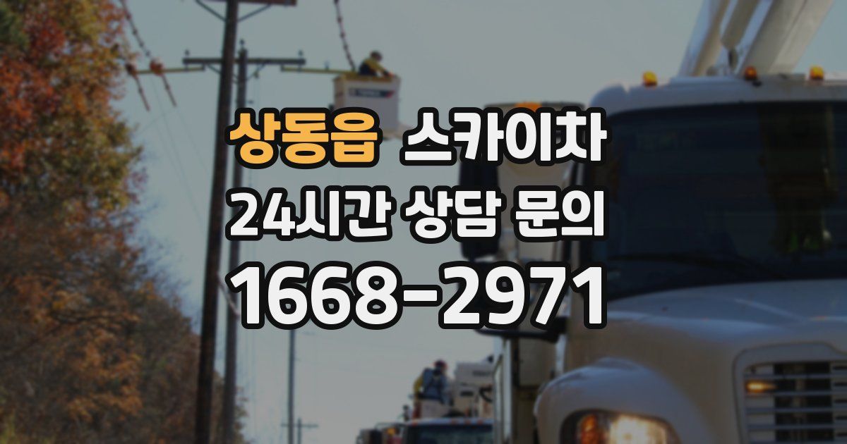 상동읍 스카이차