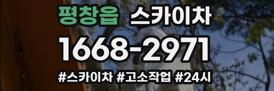 평창읍 스카이차