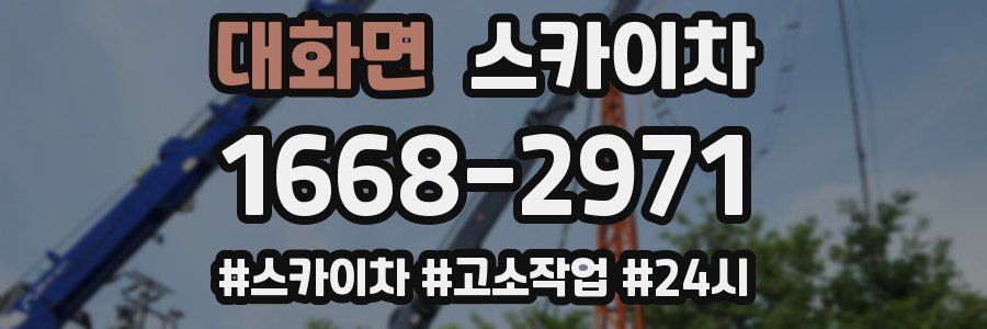 대화면 스카이차