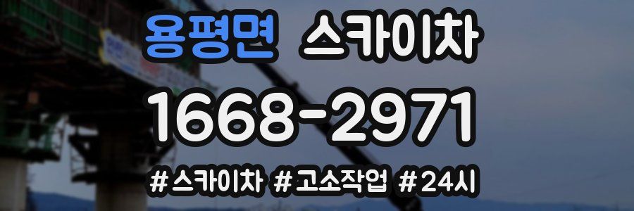 용평면 스카이차