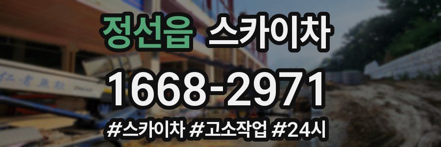 정선읍 스카이차