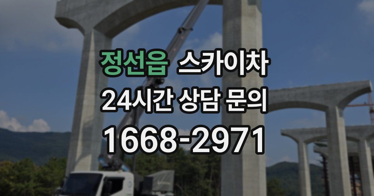 정선읍 스카이차