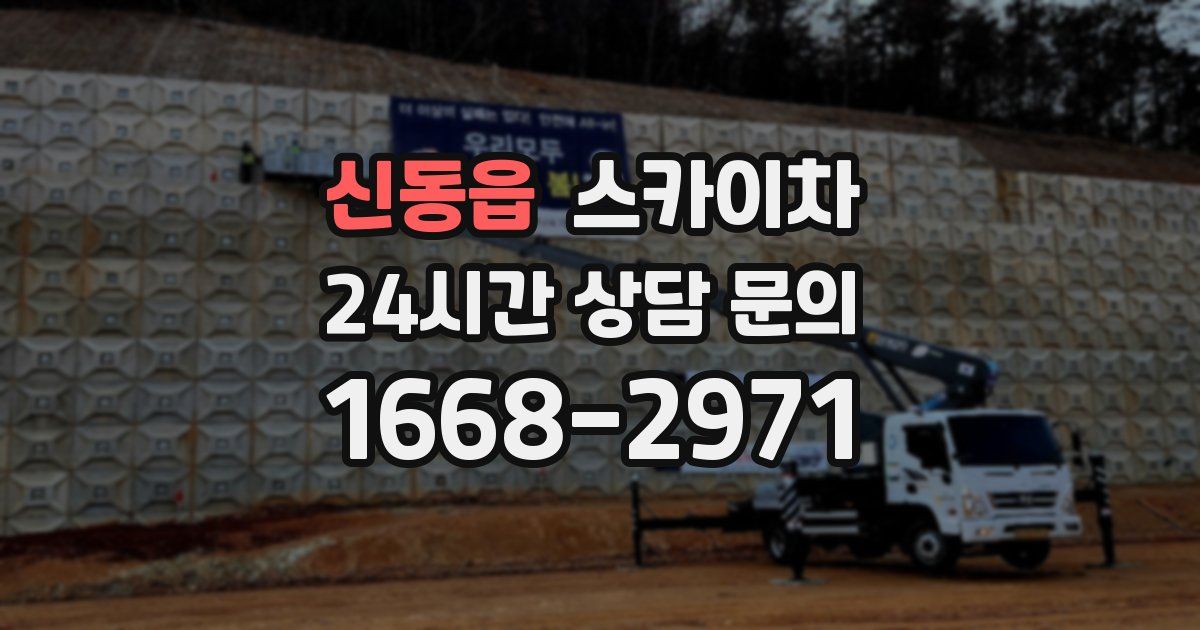 신동읍 스카이차