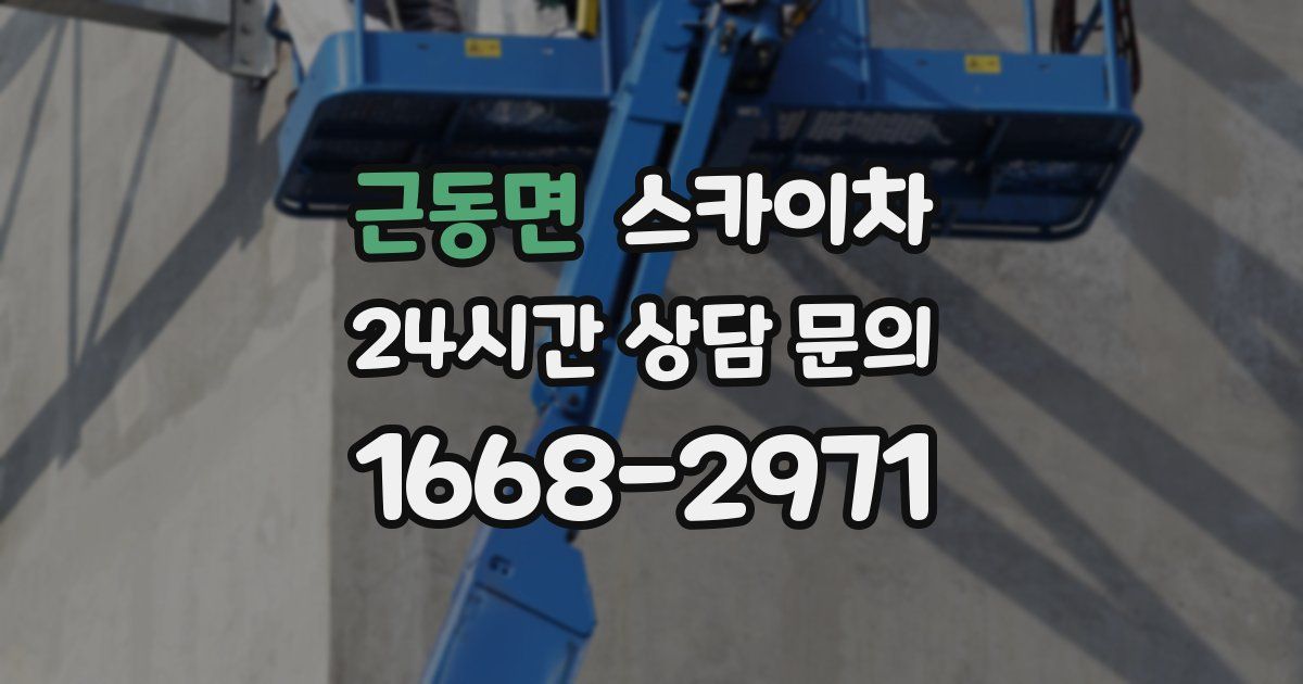 근동면 스카이차