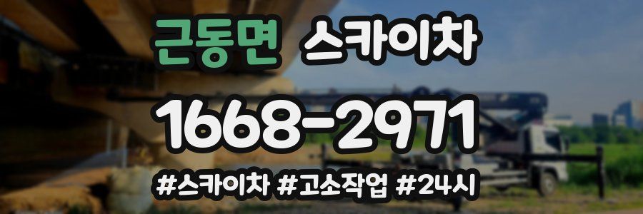 근동면 스카이차