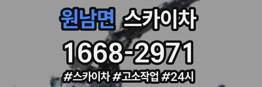 원남면 스카이차