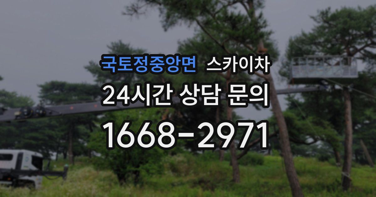 국토정중앙면 스카이차