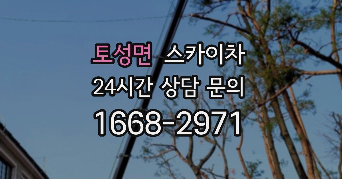 토성면 스카이차