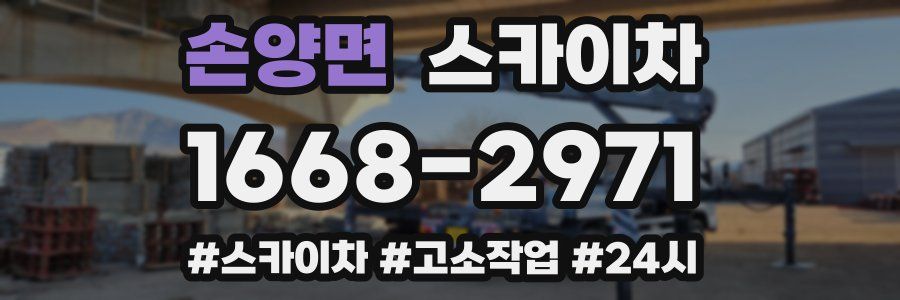 손양면 스카이차