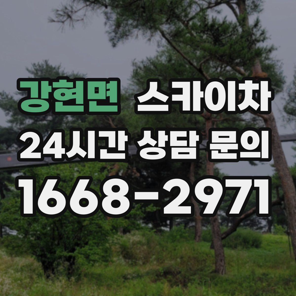 강현면 스카이차