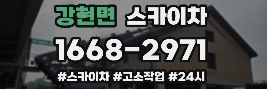 강현면 스카이차