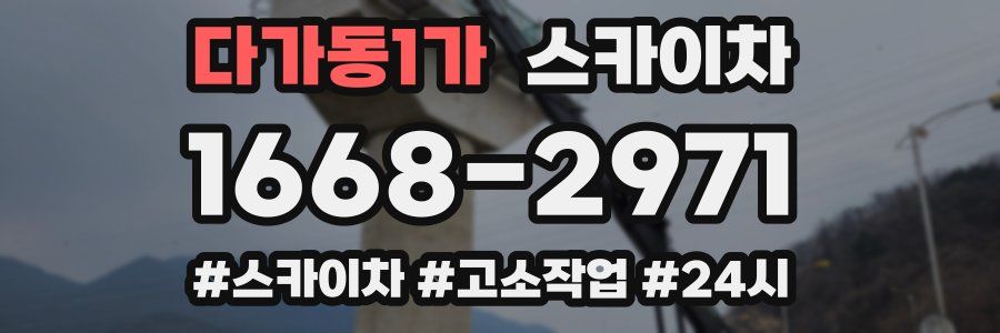 다가동1가 스카이차