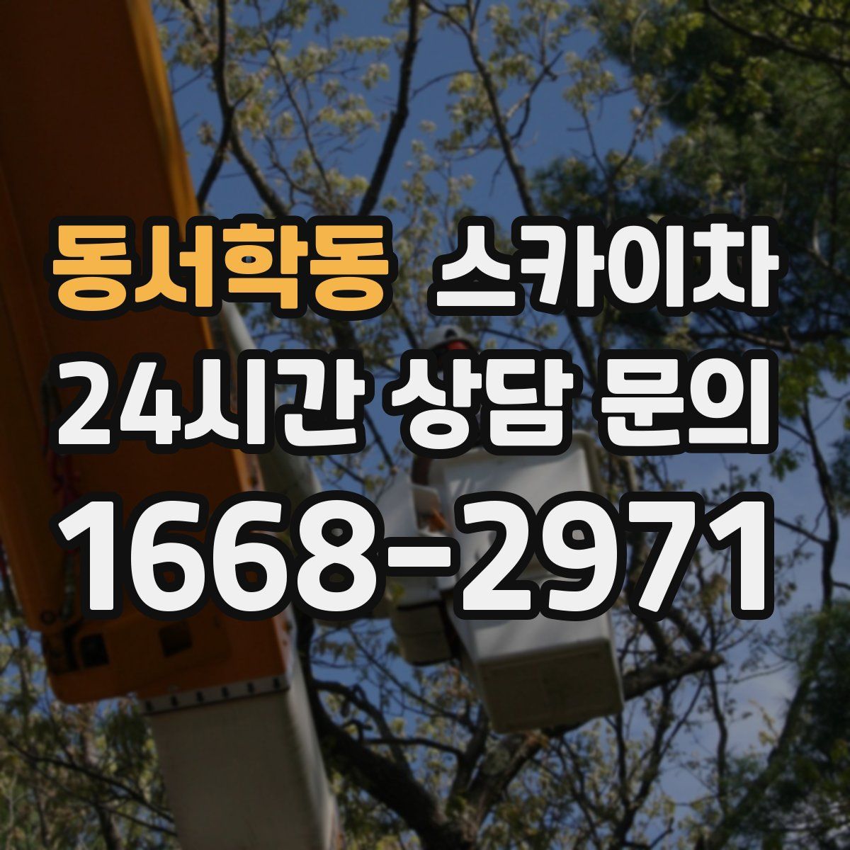 동서학동 스카이차