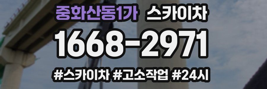 중화산동1가 스카이차