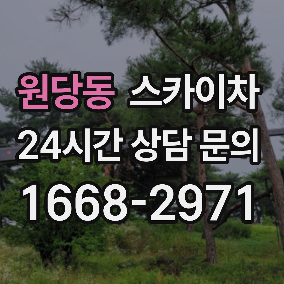 원당동 스카이차