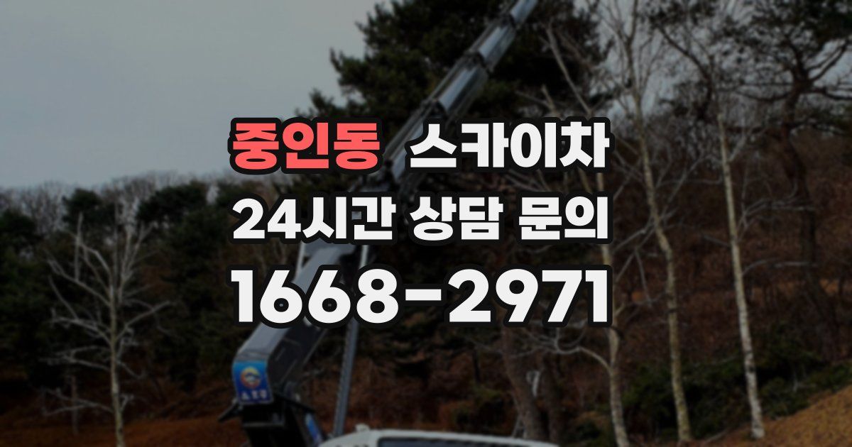 중인동 스카이차