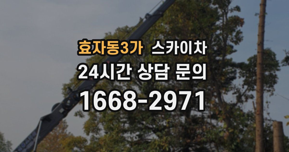 효자동3가 스카이차