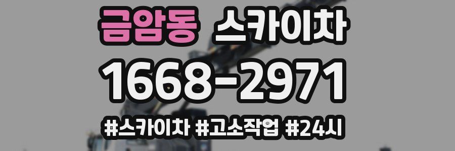 금암동 스카이차