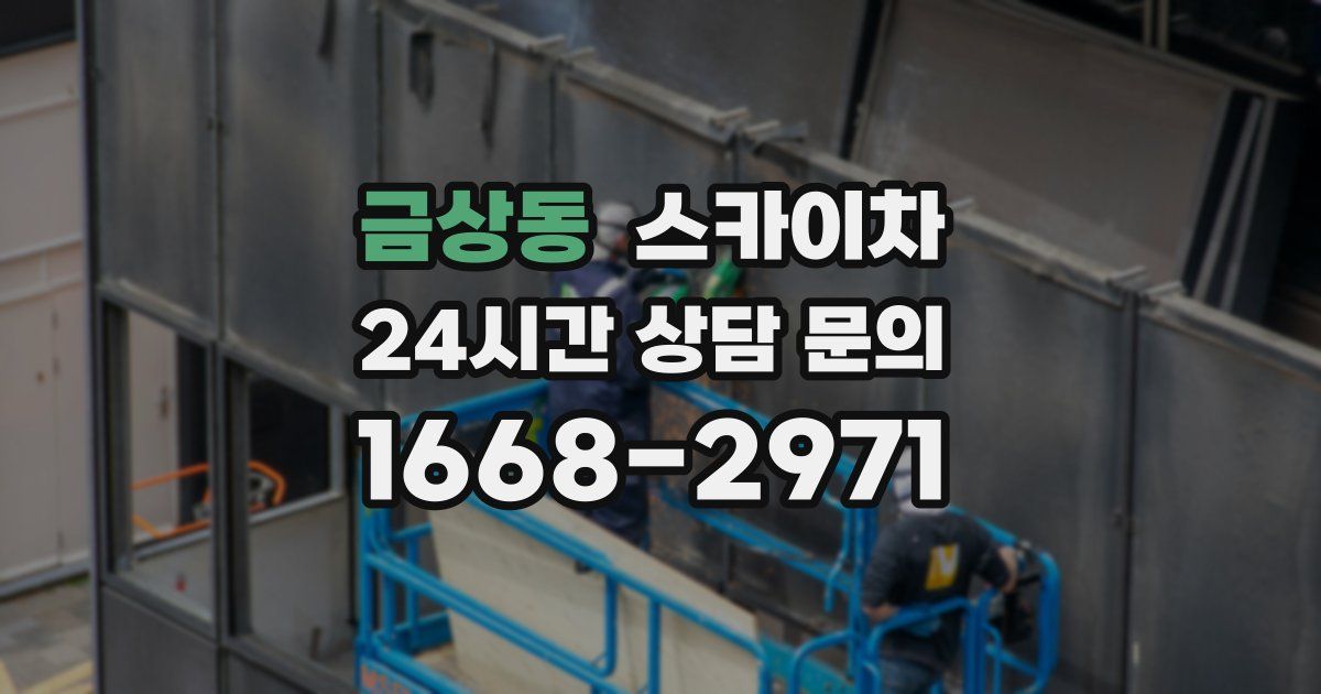 금상동 스카이차