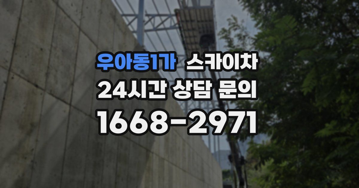 우아동1가 스카이차