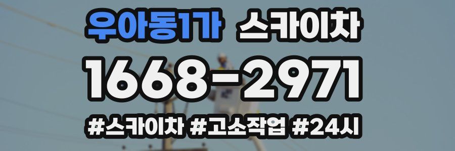 우아동1가 스카이차