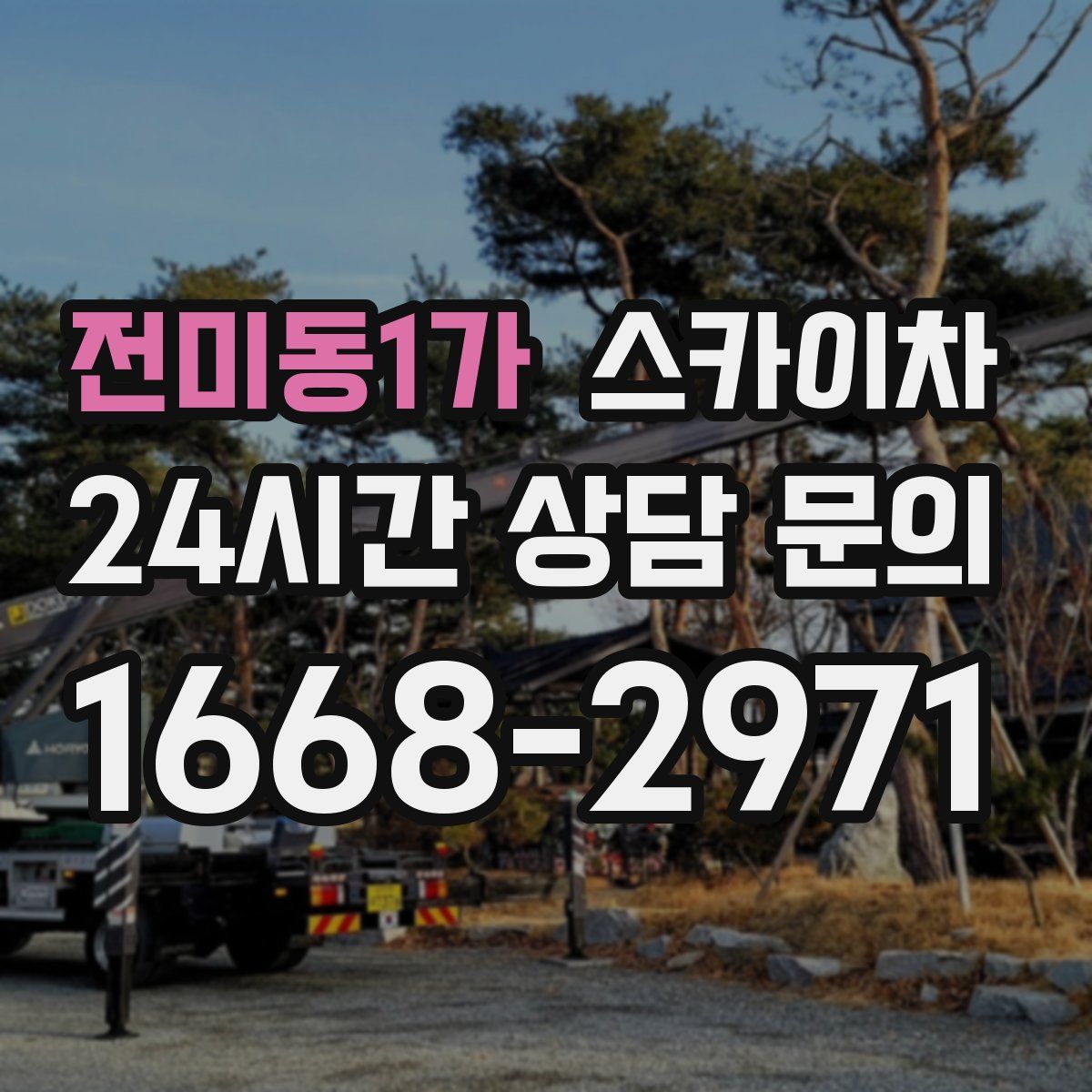 전미동1가 스카이차