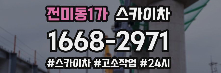 전미동1가 스카이차