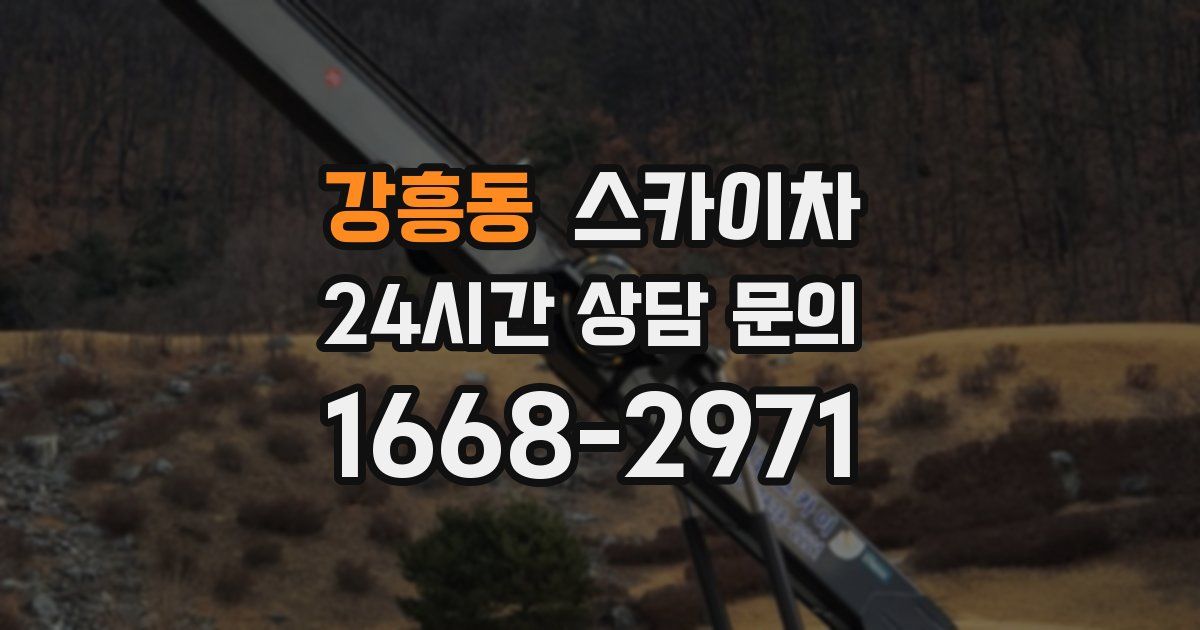 강흥동 스카이차