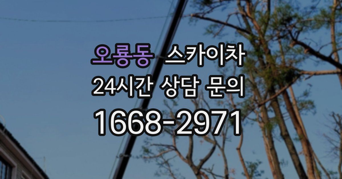 오룡동 스카이차