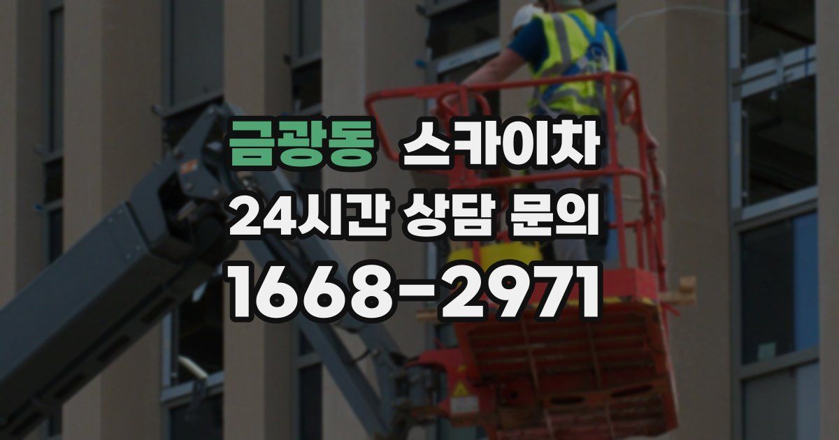 금광동 스카이차