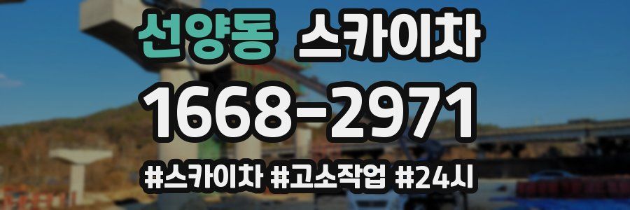 선양동 스카이차