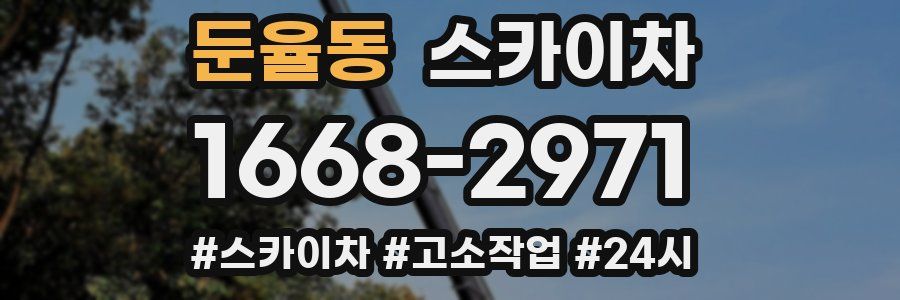 둔율동 스카이차