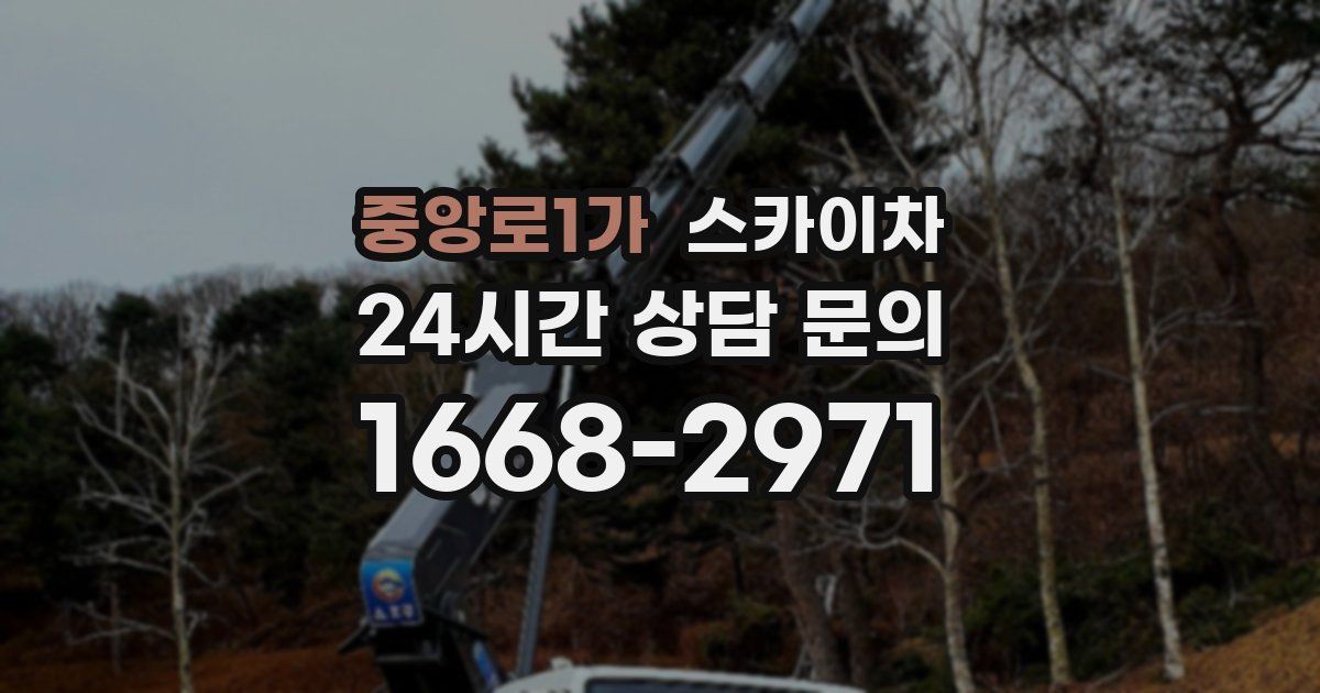 중앙로1가 스카이차