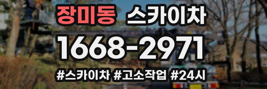 장미동 스카이차