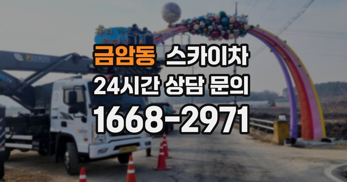 금암동 스카이차