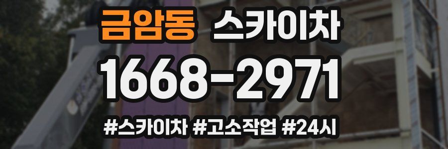 금암동 스카이차