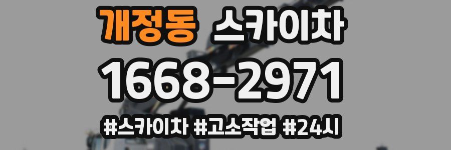 개정동 스카이차