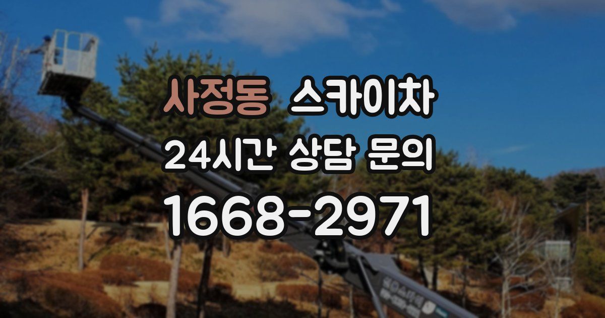 사정동 스카이차