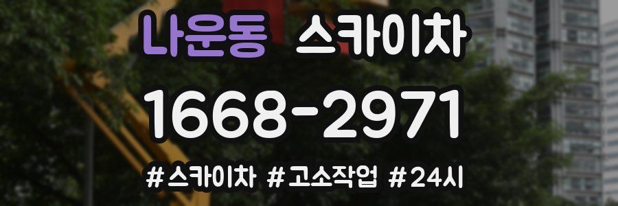 나운동 스카이차