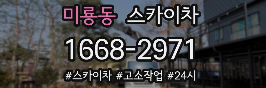 미룡동 스카이차