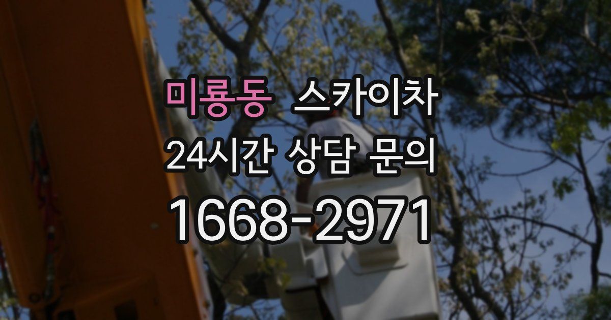 미룡동 스카이차