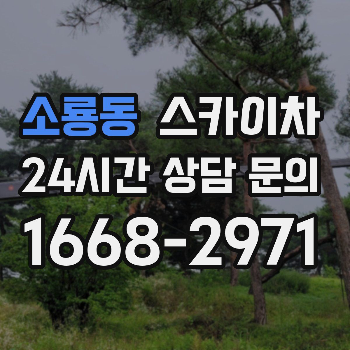 소룡동 스카이차