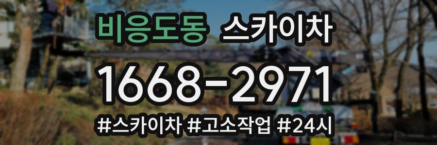 비응도동 스카이차