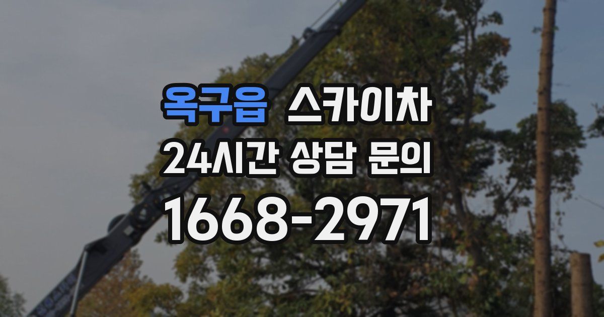 옥구읍 스카이차