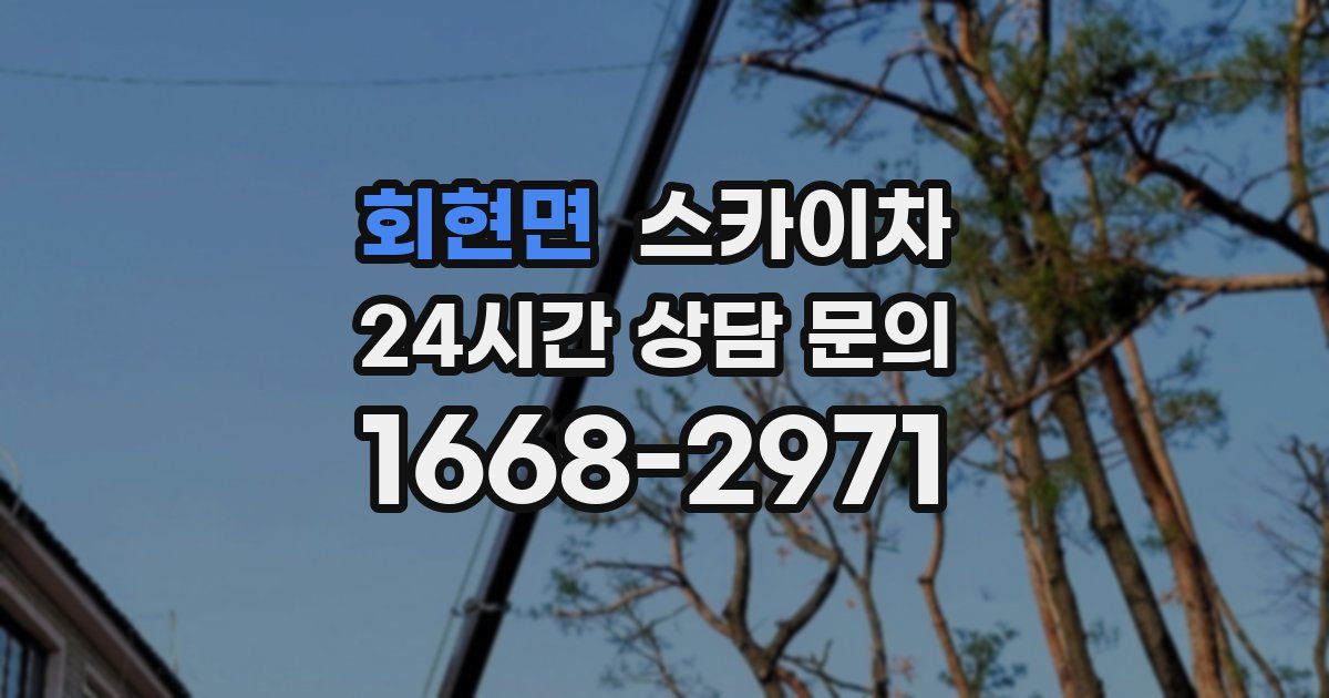 회현면 스카이차