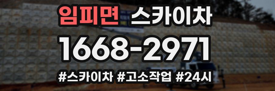 임피면 스카이차